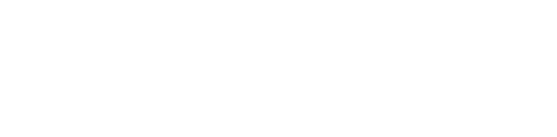 iCparking